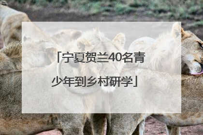 宁夏贺兰40名青少年到乡村研学